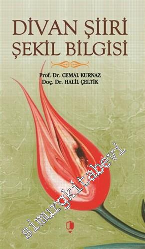 Divan Şiiri Şekil Bilgisi -