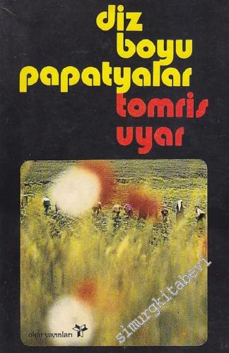 Dizboyu Papatyalar -        1975