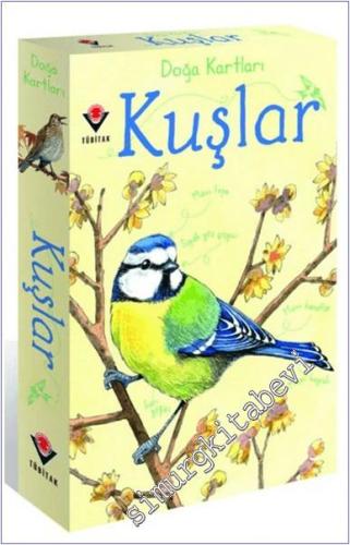Doğa Kartları - Kuşlar -        2022