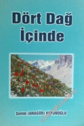 Dört Dağ İçinde -