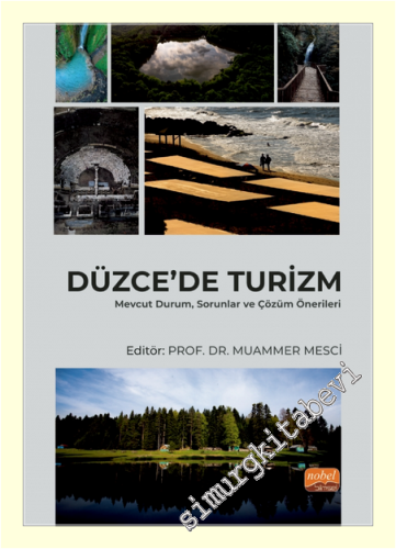 Düzce'de Turizm : Mevcut Durum, Sorunlar ve Çözüm Önerileri