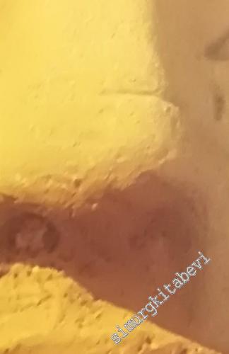 Egypt: Gods, Myths and Religion -