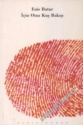 Enis Batur İçin Otuz Kuş Bakışı -