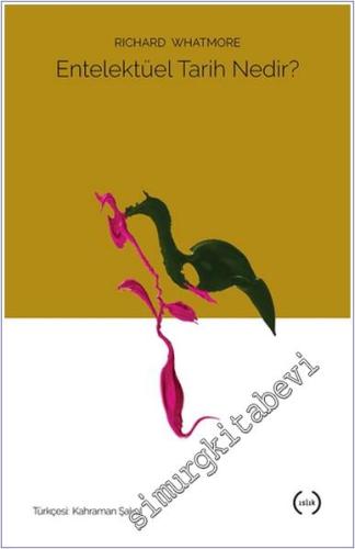 Entelektüel Tarih Nedir -        2017