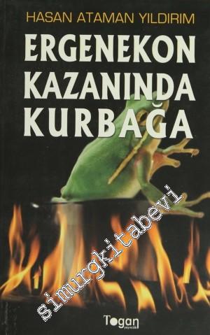 Ergenekon Kazanında Kurbağa -