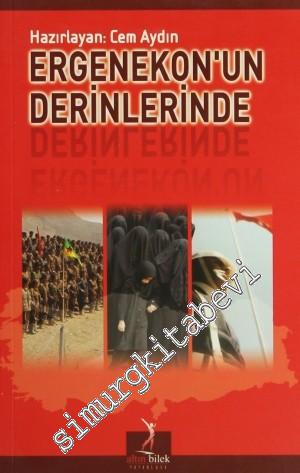 Ergenekon'un Derinlerinde -