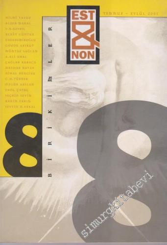 Est & Non Birikimler - 8      Temmuz - Eylül  2001