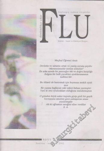 Flu Kültür - Sanat ve Edebiyat Dergisi - Sayı: 3 Haziran - Temmuz
