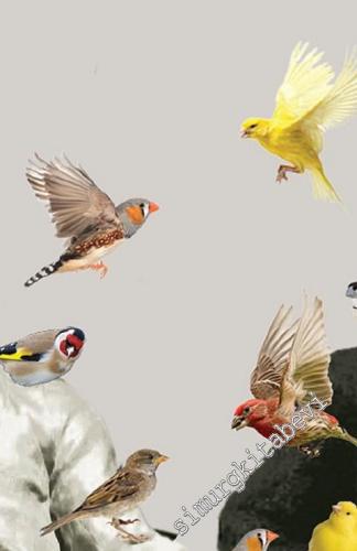 Freud - Spinoza Mektuplaşması 1676 - 1938 -