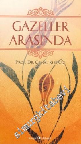 Gazeller Arasında -        2011