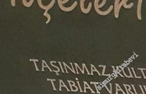 Gaziantep İlçeleri Taşınmaz Kültür ve Tabiat Varlıkları Envanteri CİLTLİ -