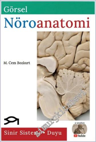 Görsel Nöroanatomi -        2024