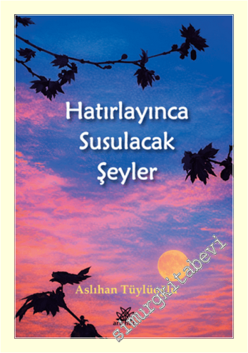 Hatırlayınca Susulacak Şeyler -