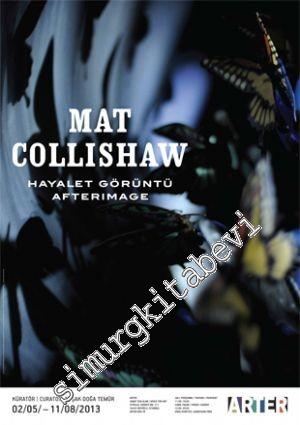 Hayalet Görüntü = Afterimage: Mat Collishaw Sergisi -        2013