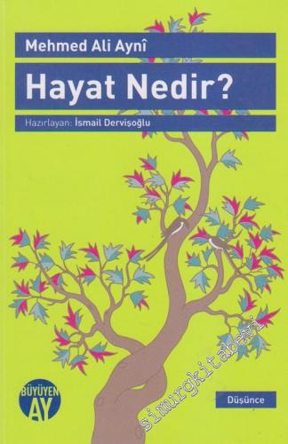Hayat Nedir?