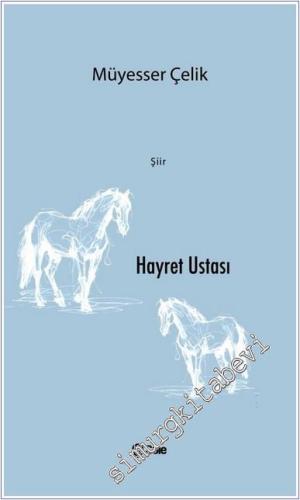 Hayret Ustası -        2024