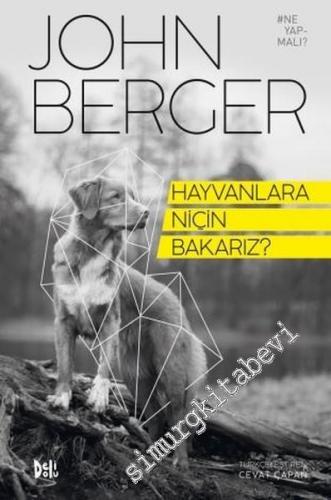 Hayvanlara Niçin Bakarız? -