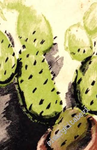 Hiciv Edebiyatı Antolojisi -