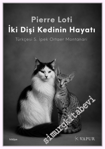 İki Dişi Kedinin Hayatı