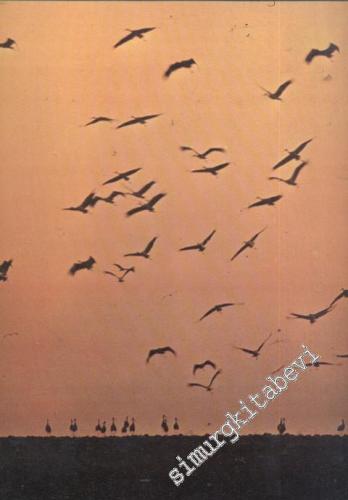 İlgi Dergisi: Kültür Sanat Mimarlık - Yıl: 10; Sayı: 26; Mayıs 1976