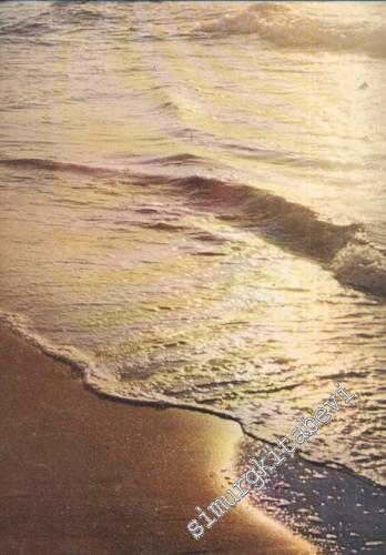 İlgi Dergisi: Kültür Sanat Mimarlık - Sayı: 30    Yıl: 14   Kasım 1980