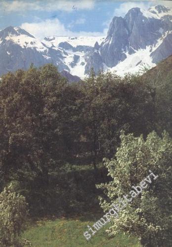 İlgi Dergisi: Kültür Sanat Mimarlık - Yıl: 19; Sayı: 41; Ocak 1985