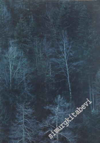 İlgi Dergisi: Kültür Sanat Mimarlık - Yıl: 20; Sayı: 44; Kış 1985