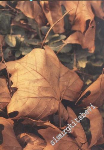 İlgi Dergisi: Kültür Sanat Mimarlık - Yıl: 23; Sayı: 56; Kış 1989