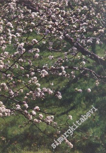 İlgi Dergisi: Kültür Sanat Mimarlık - Yıl: 23; Sayı: 57; İlkbahar 1989