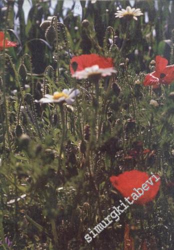 İlgi Dergisi: Kültür Sanat Mimarlık - Yıl: 23; Sayı: 58; Yaz 1989