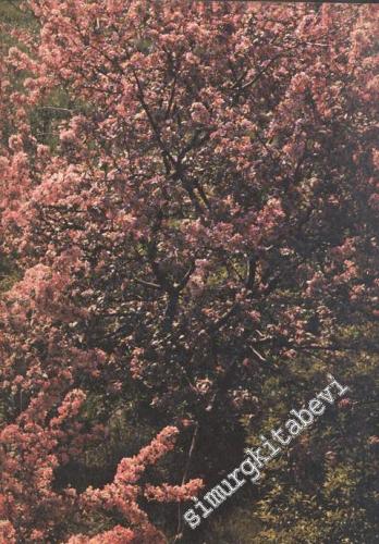 İlgi Dergisi: Kültür Sanat Mimarlık - Yıl: 24; Sayı: 61; İlkbahar 1990