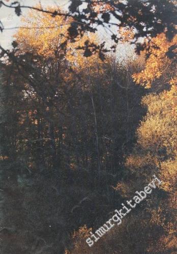 İlgi Dergisi: Kültür Sanat Mimarlık - Sayı: 63    Yıl: 24  Sonbahar 1991