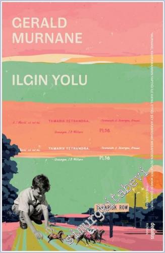 Ilgın Yolu -        2025