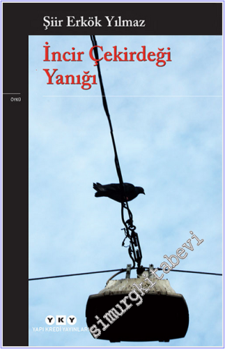 İncir Çekirdeği Yanığı
