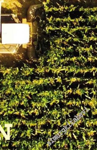 İnsan ve Hayat Dergisi - Tohum - Sayı: 112      Haziran