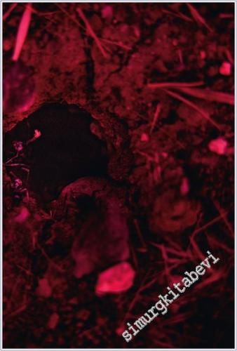 Islak Hüzün -        2018