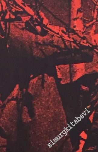 İspanyol Şenliği -        1973