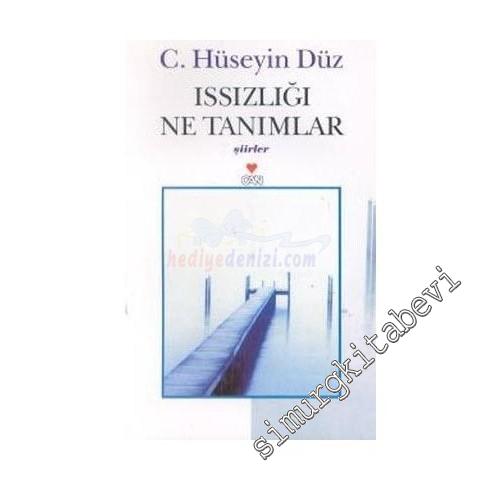 Issızlığı Ne Tanımlar -        2001
