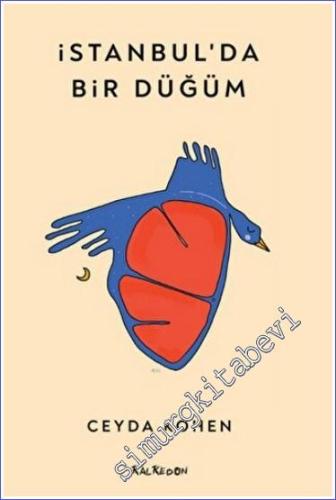 İstanbul'da Bir Düğüm -        2023