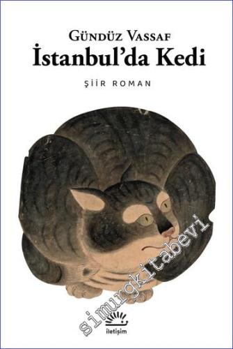 İstanbul'da Kedi -        2024