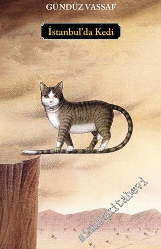İstanbul'da Kedi -