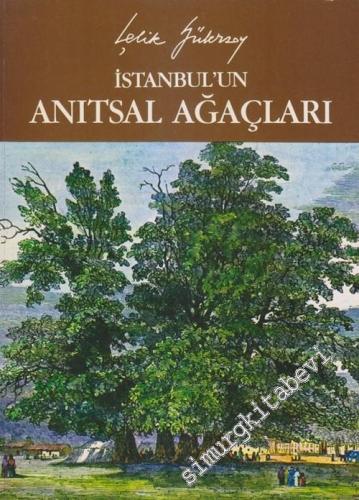 İstanbul'un Anıtsal Ağaçları: 1 Rumeli Kavağı - Kağıthane Arası -        1984