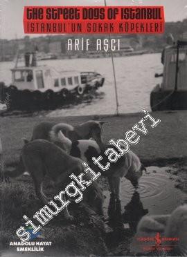 İstanbul'un Sokak Köpekleri = The Street Dogs Of Istanbul -