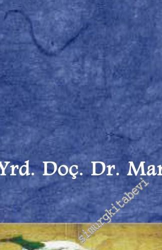 Japonca Yazı Sistemi Kanji Cilt: 1 -