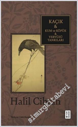 Kaçık / Kum ve Köpük / Yeryüzü Tanrıları -        2025