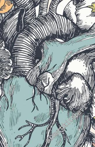 Kalbin Simyası : Menevi Yaralara Çare Bulmak -        2025