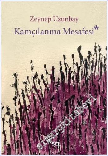 Kamçılanma Mesafesi -        2019