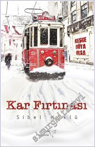 Kar Fırtınası -        2024