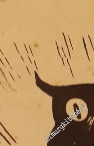 Kara Maske: Western Gençlik Mecmuası, Cilt: 11 - Baykuşun Çetesi -