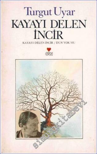 Kayayı Delen İncir  -        1994